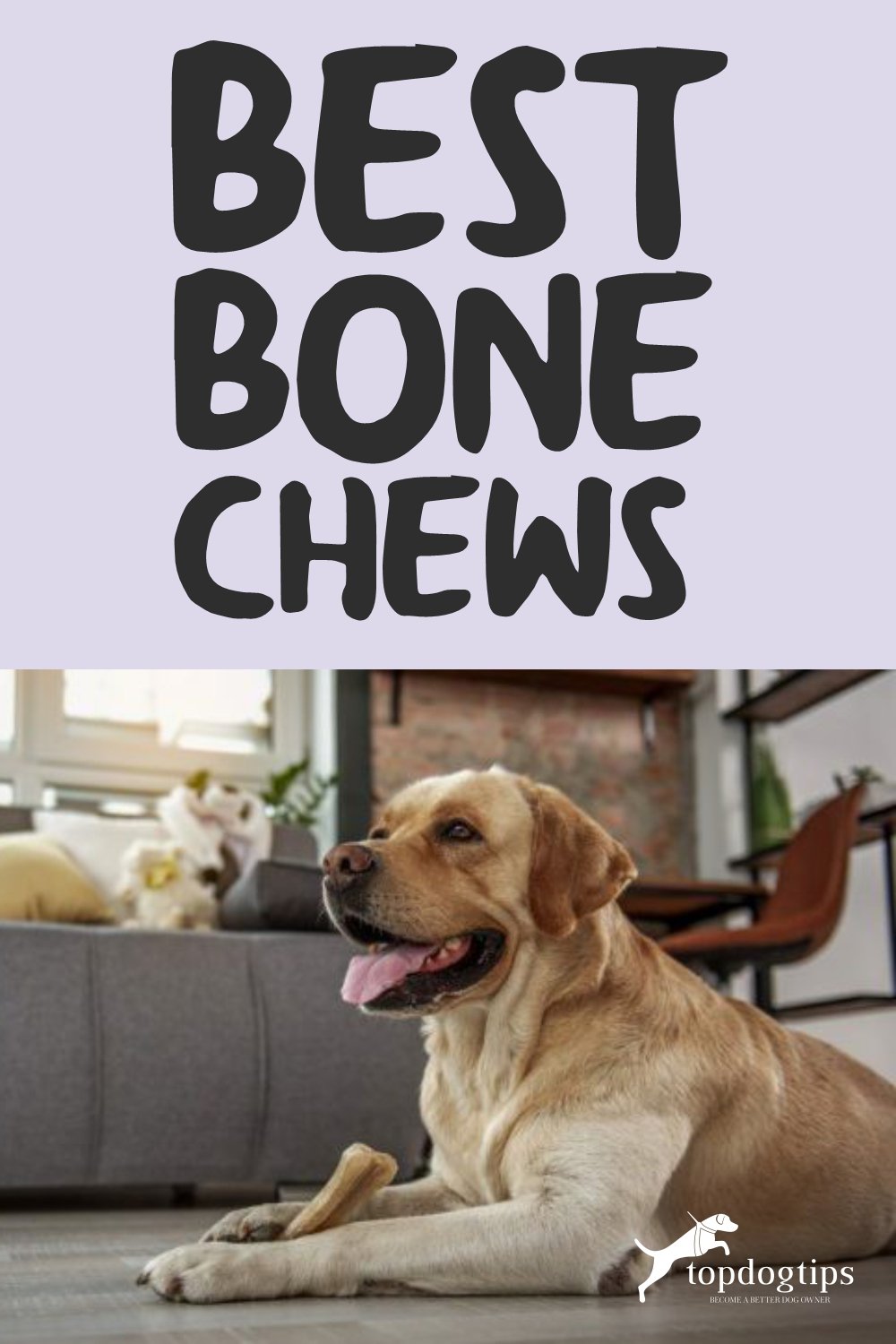 Best Bone Chews