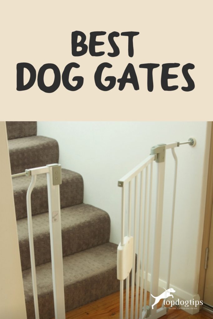 Best Dog Gates