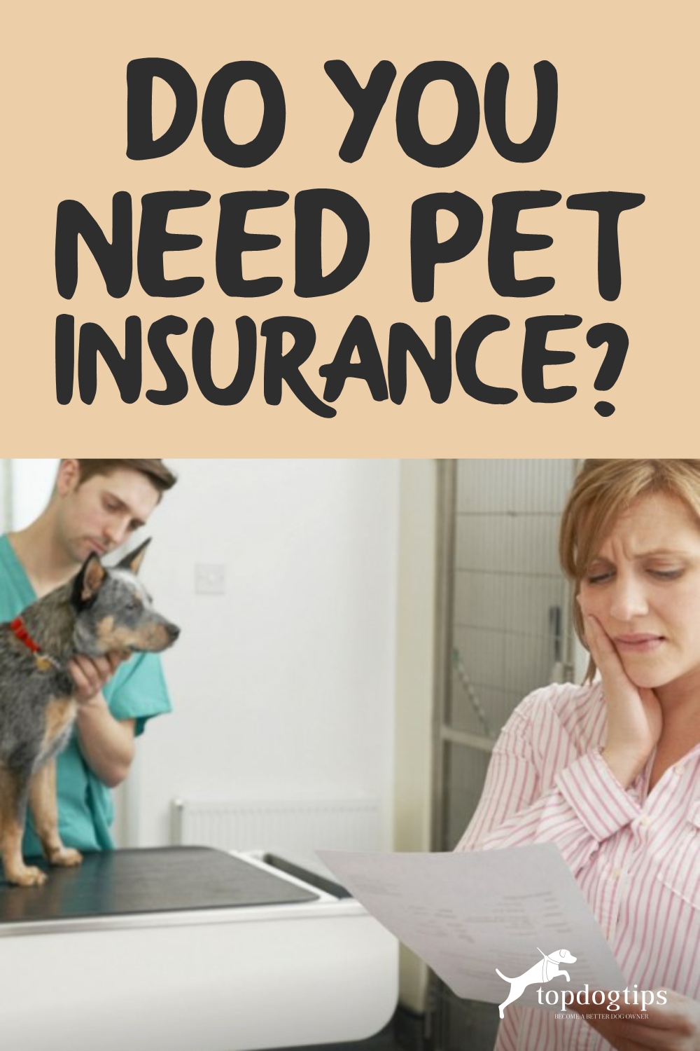 Do You Need Pet Insurance