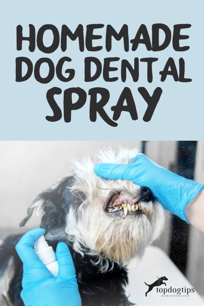 Homemade Dog Dental Spray