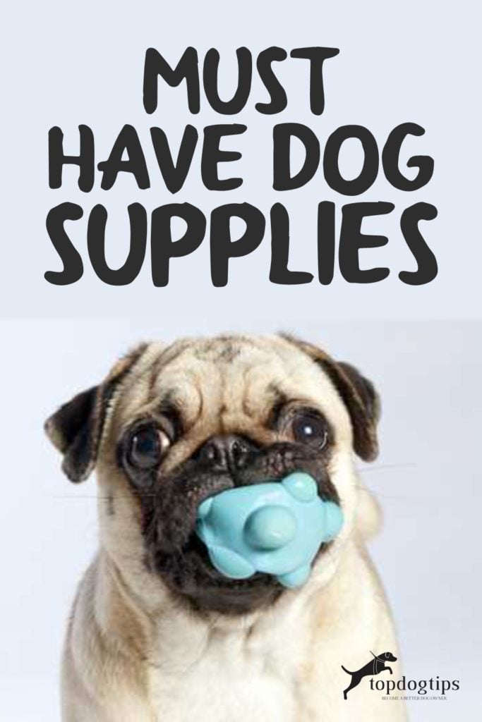 Must Have Dog Supplies