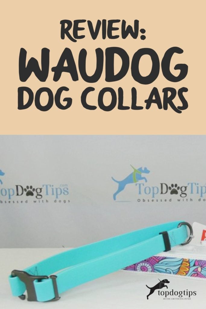 WAUDOG Dog Collars