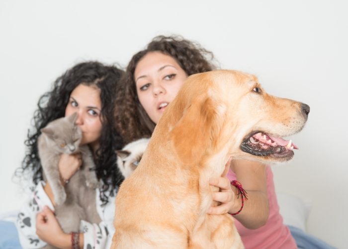 10 Reasons Why Millennials Opt For Pets and Not Parenthood