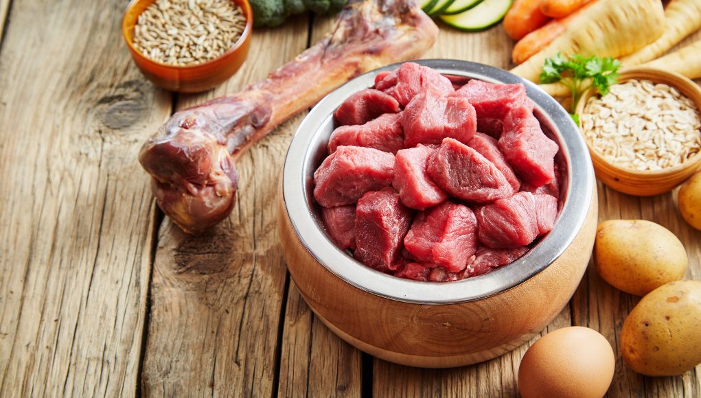 Best Protein For Dogs: Choosing The Best Dog Food and Health