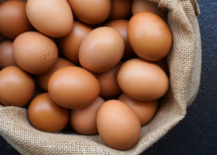 Protein for Dogs #1: Eggs