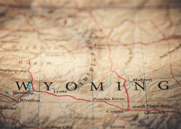 Dangerous U.S. States For Dogs #3: Wyoming