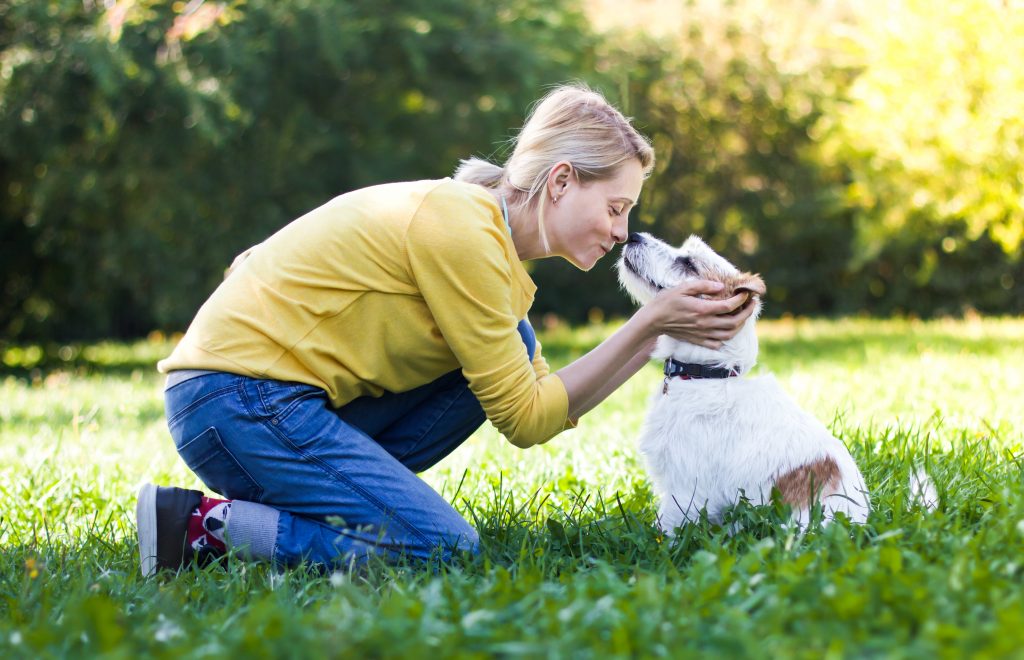 girl playing with small dog breed jack russel terrier in grass