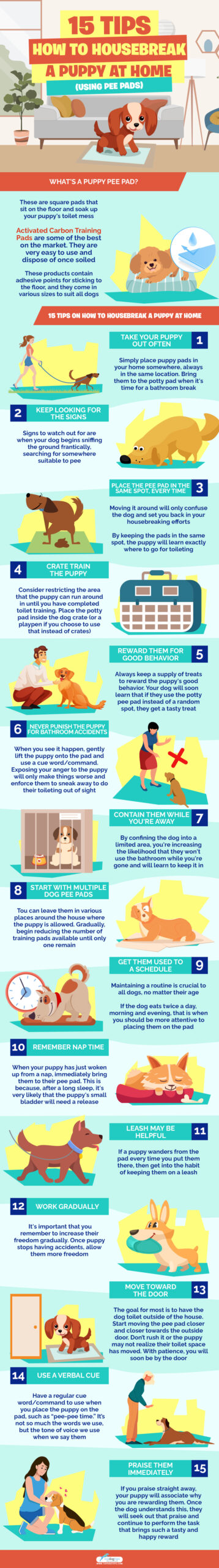 15 Tips on How to Housebreak a Puppy at Home Using Pee Pads infographics