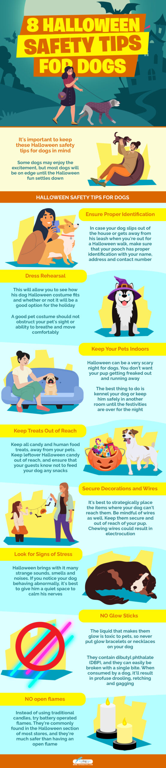 8 Halloween Safety Tips for Dogs infographics