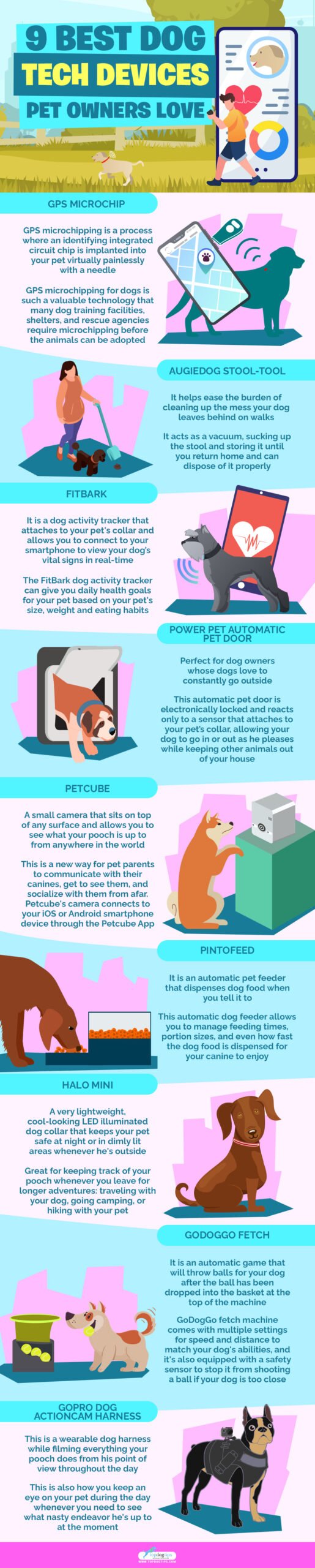 Best Dog Tech Devices Pet Owners Love infographics