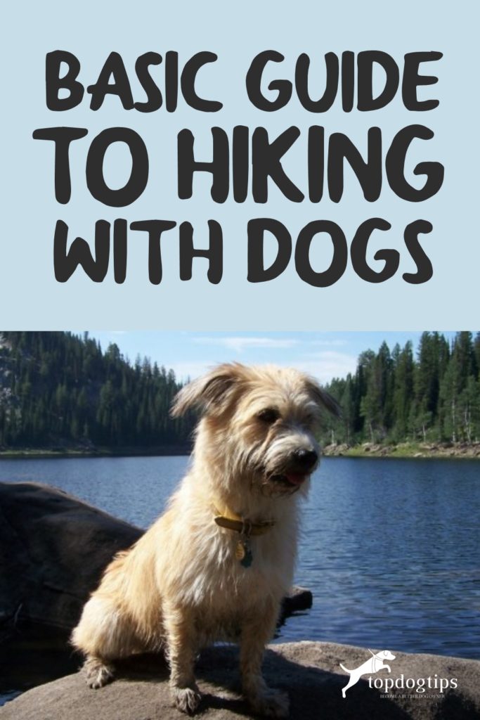  Hiking with Dogs