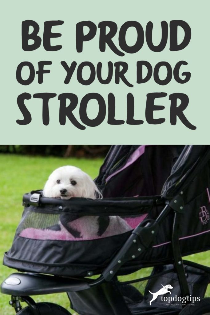 Dog Stroller