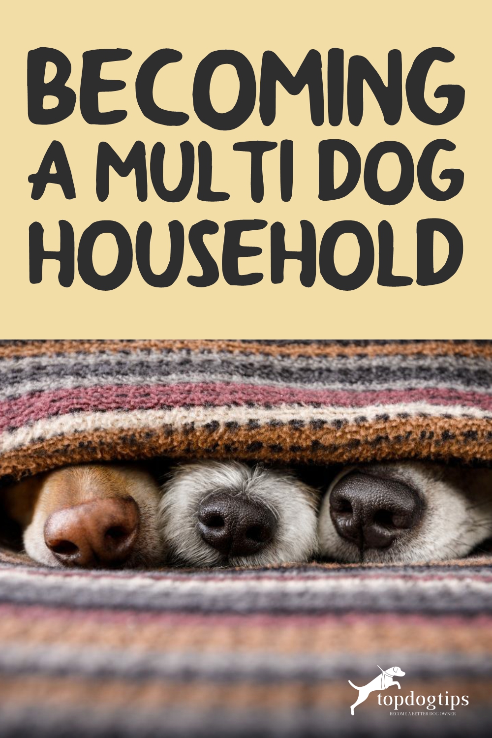 Becoming a Multi-Dog Household