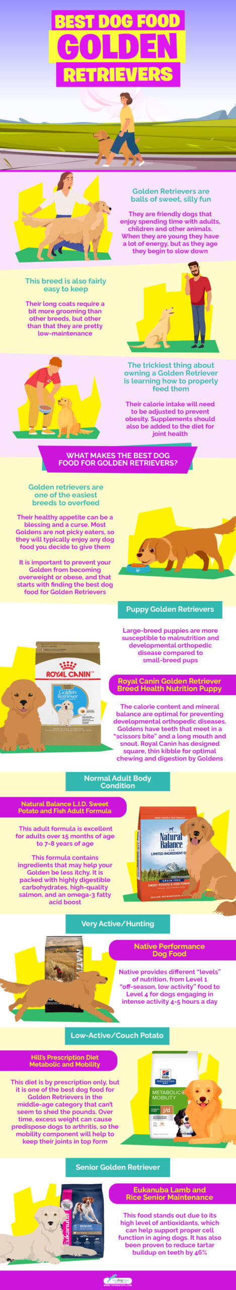 Best Dog Food for Golden Retrievers