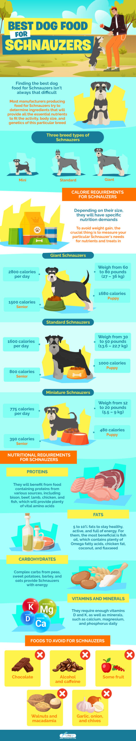 Best Dog Foods for Schnauzers