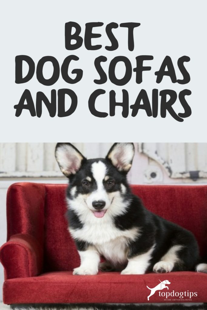 Dog Sofas and Chairs