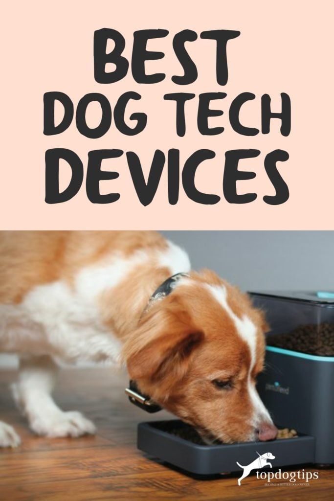 Dog Tech Devices