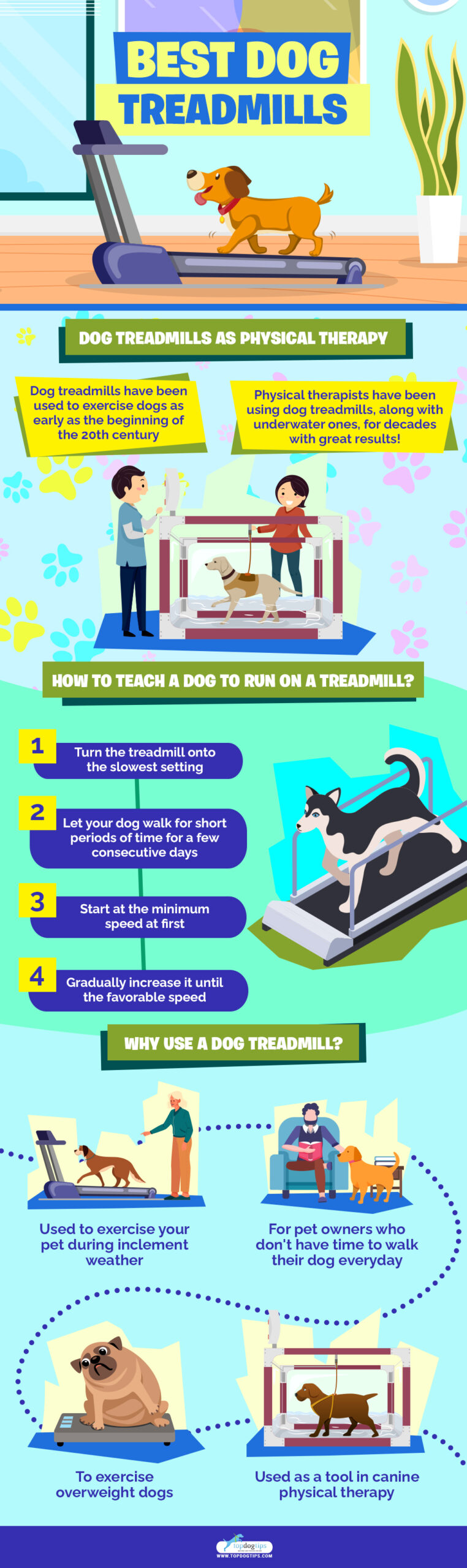 Best Dog Treadmills infographics