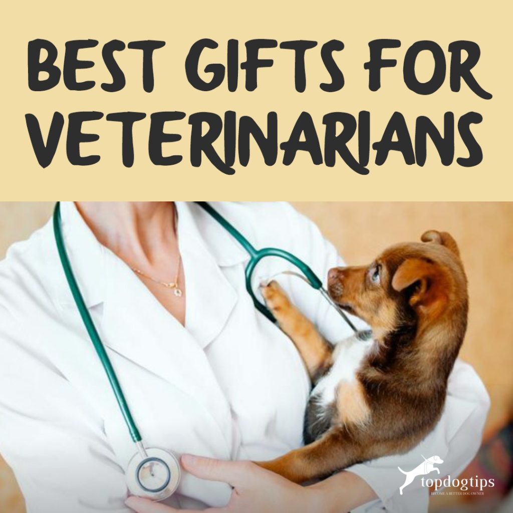 Best Gifts for Veterinarians