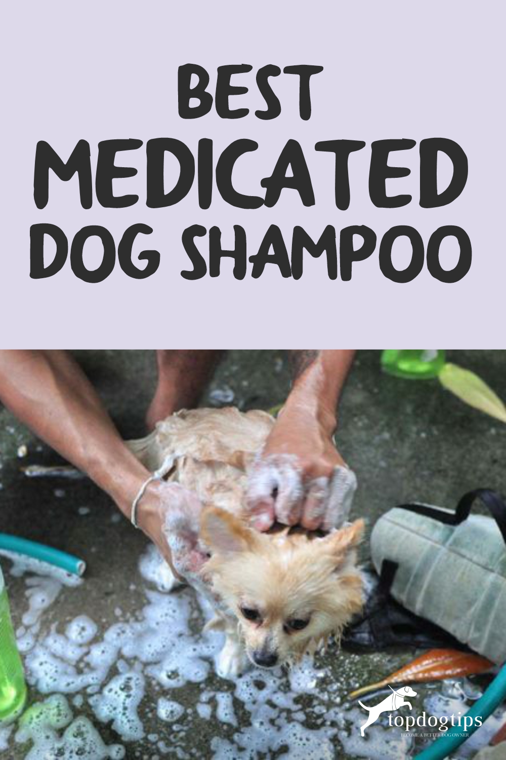 Best Medicated Dog Shampoo