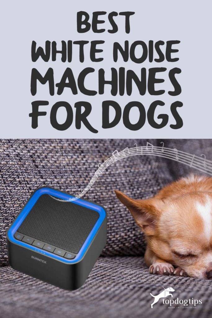 Best White Noise Machines for Dogs