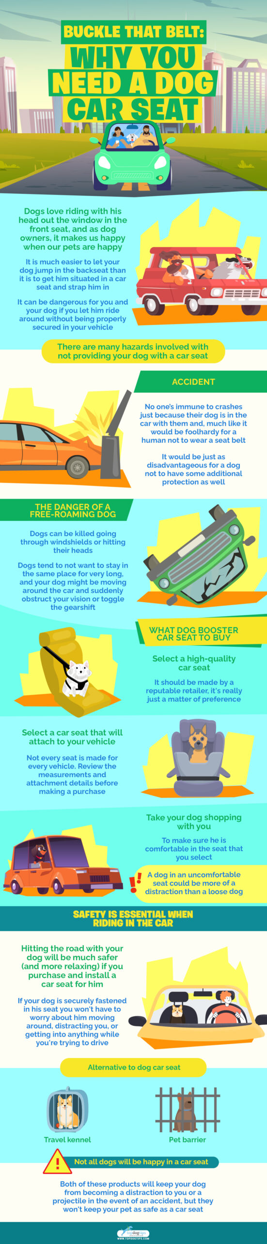 Buckle That Belt Why You Need a Dog Car Seat infographics