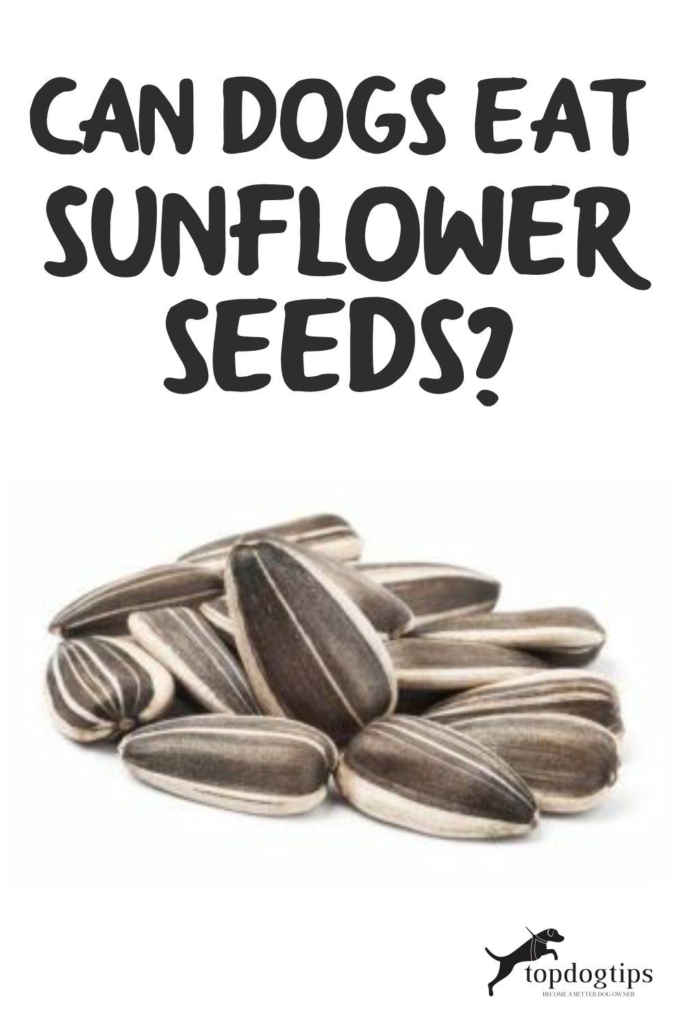 Can Dogs Eat Sunflower Seeds