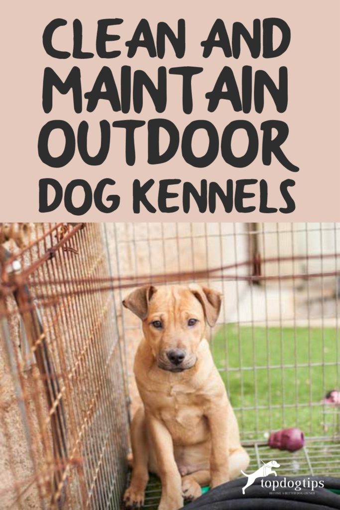 Clean and Maintain Outdoor Dog Kennels Title Card