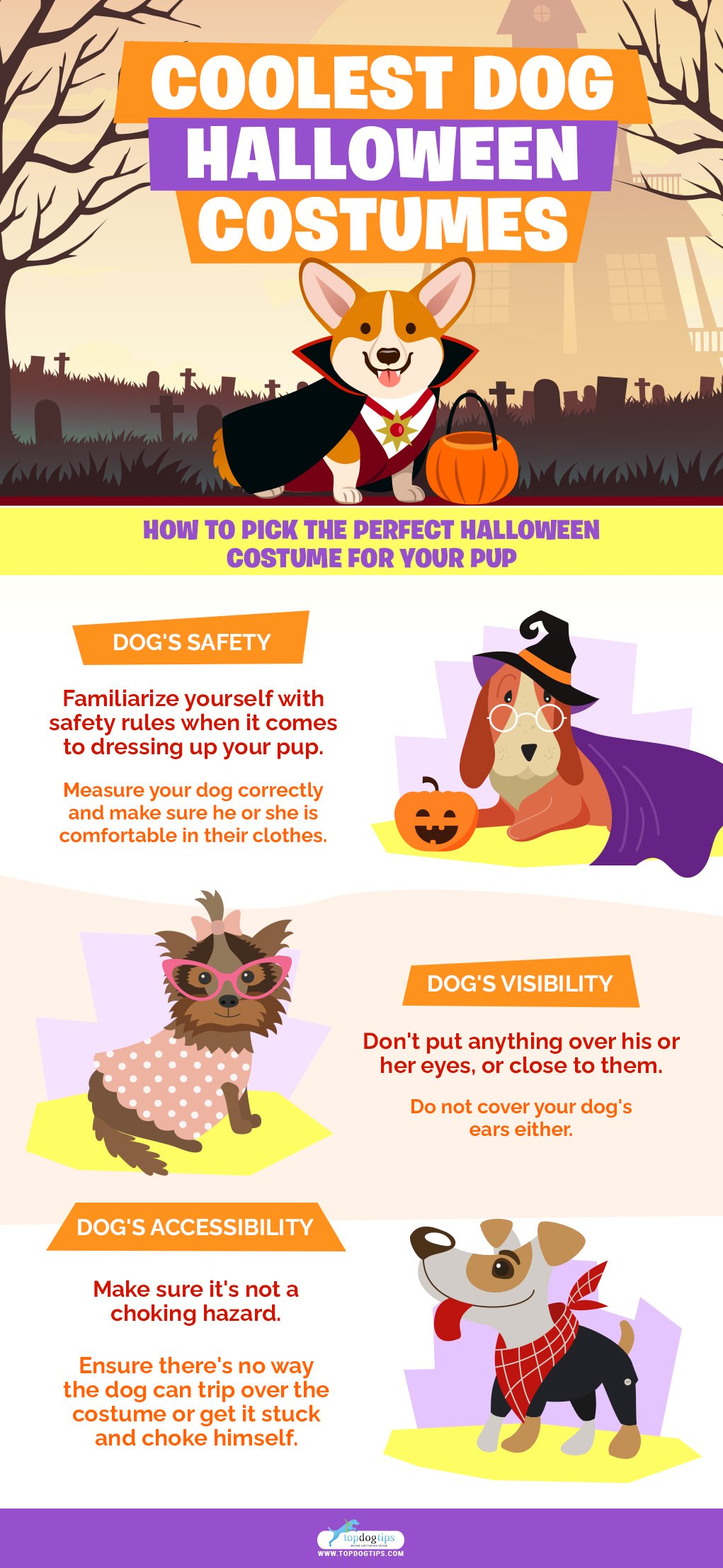 Coolest Dog Halloween Costumes infographics