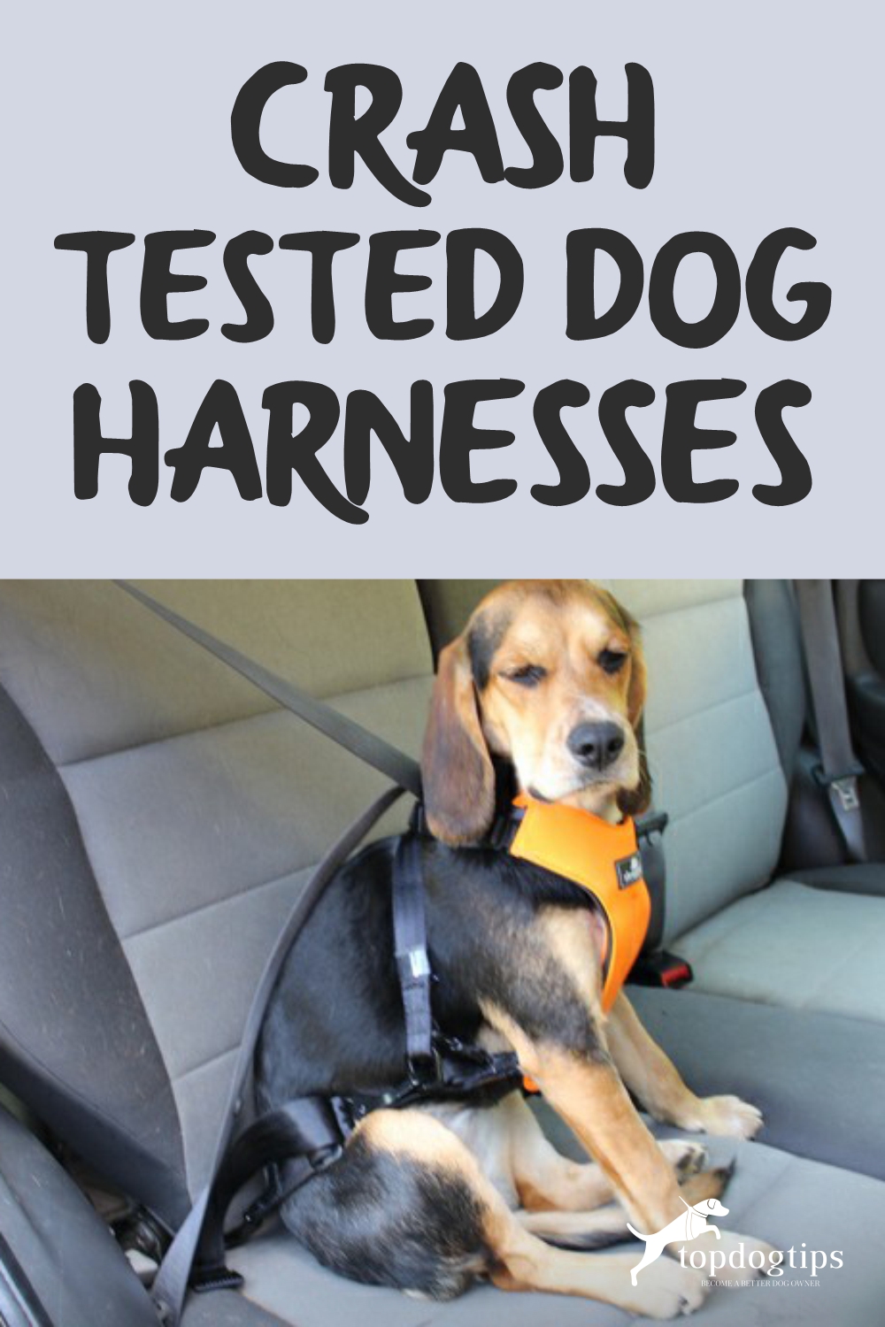 Crash Tested Dog Harnesses