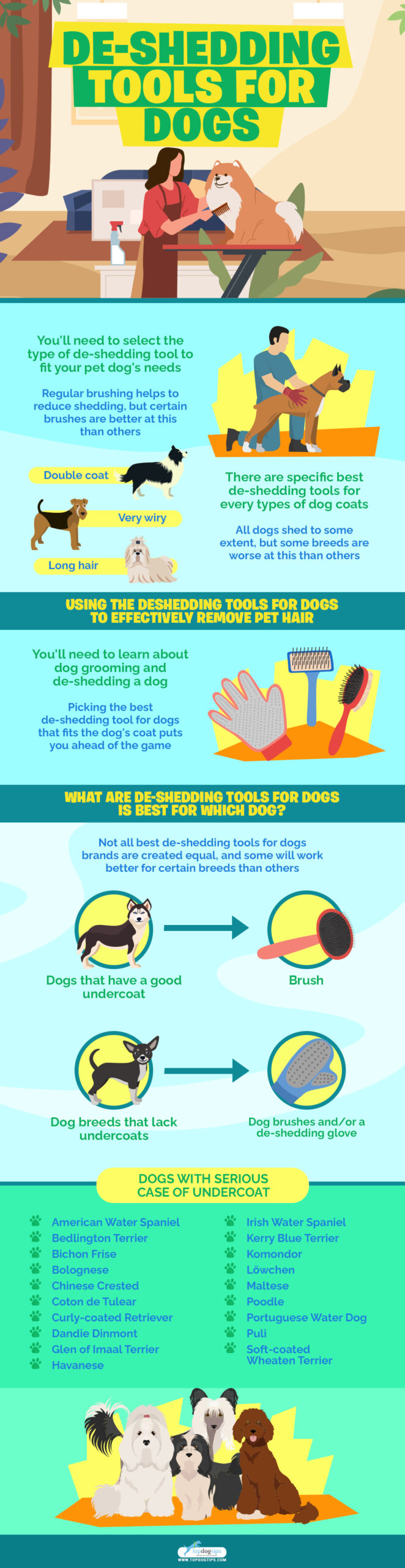 De-shedding Tools for Dogs infographics