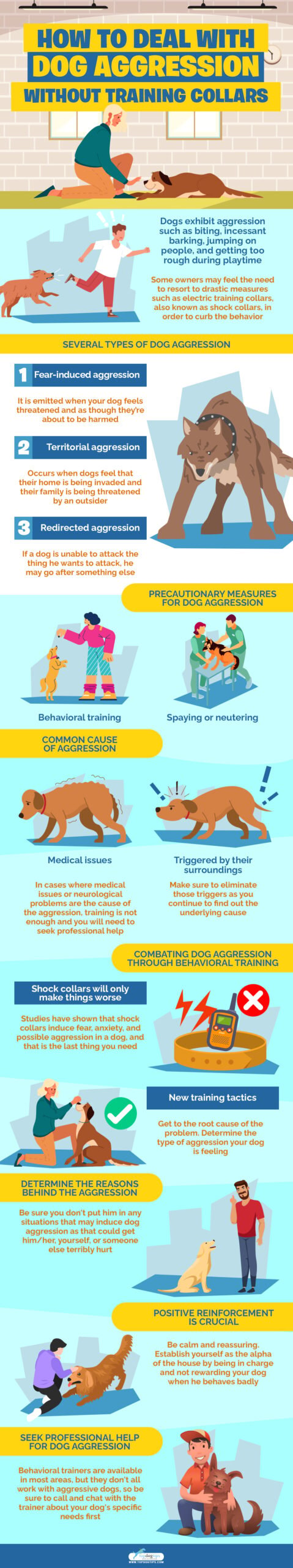 Deal Dog Aggression Without Training Collars infographics