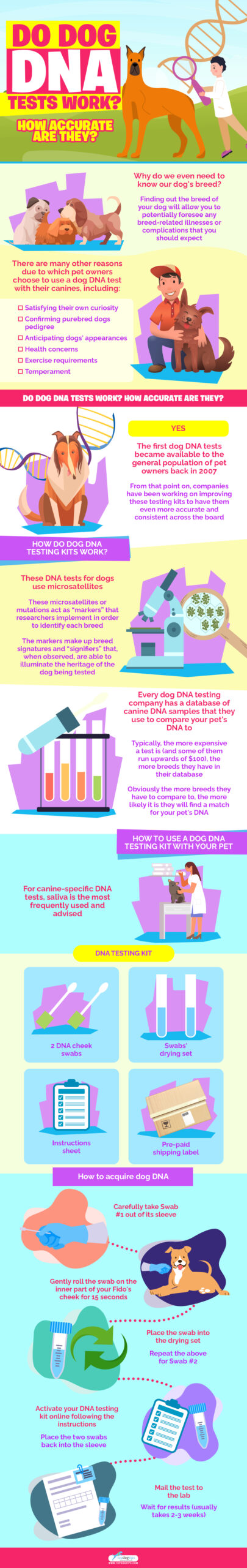 Do Dog DNA Tests Work infographics