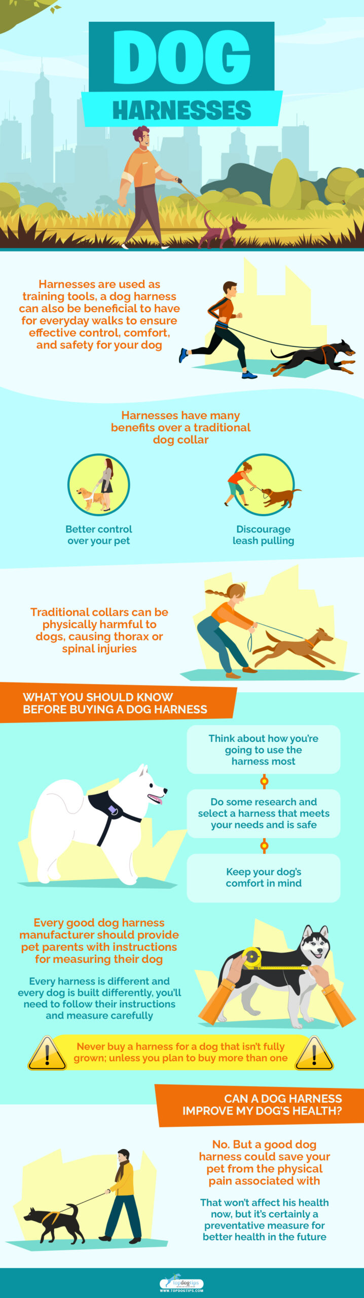 Dog Harnesses topdogtips infographics