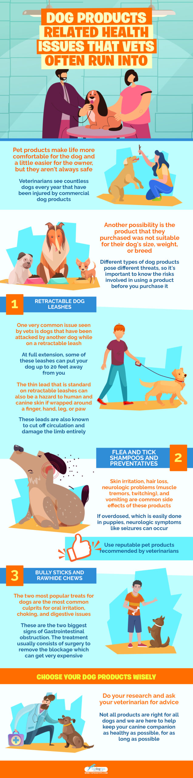 Dog Products Related Health Issues That Vets Often Run Into infographics