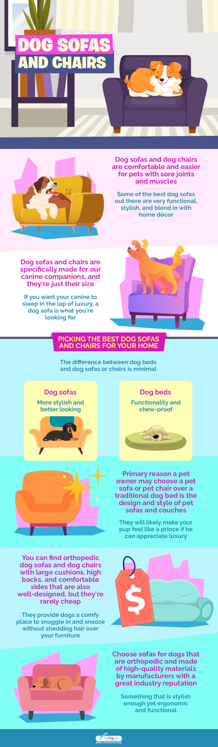 Dog Sofas and Chairs infographics