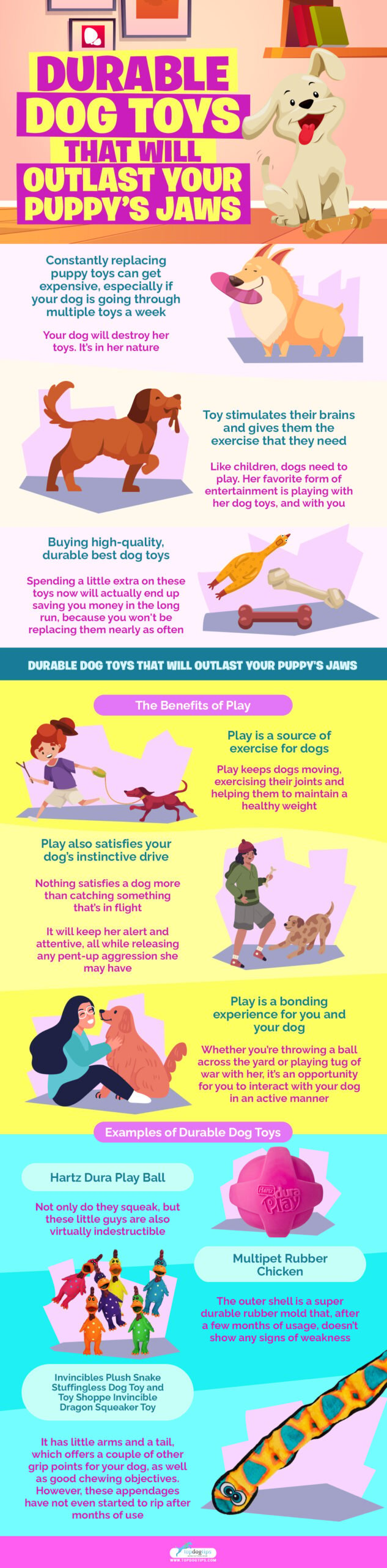 Durable Dog Toys infographics