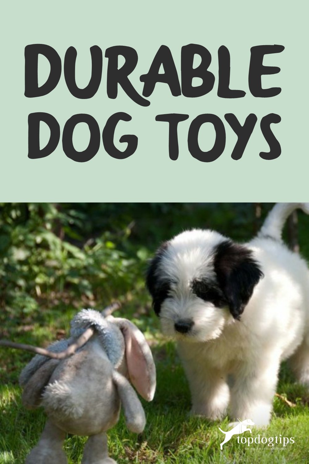 Durable Dog Toys