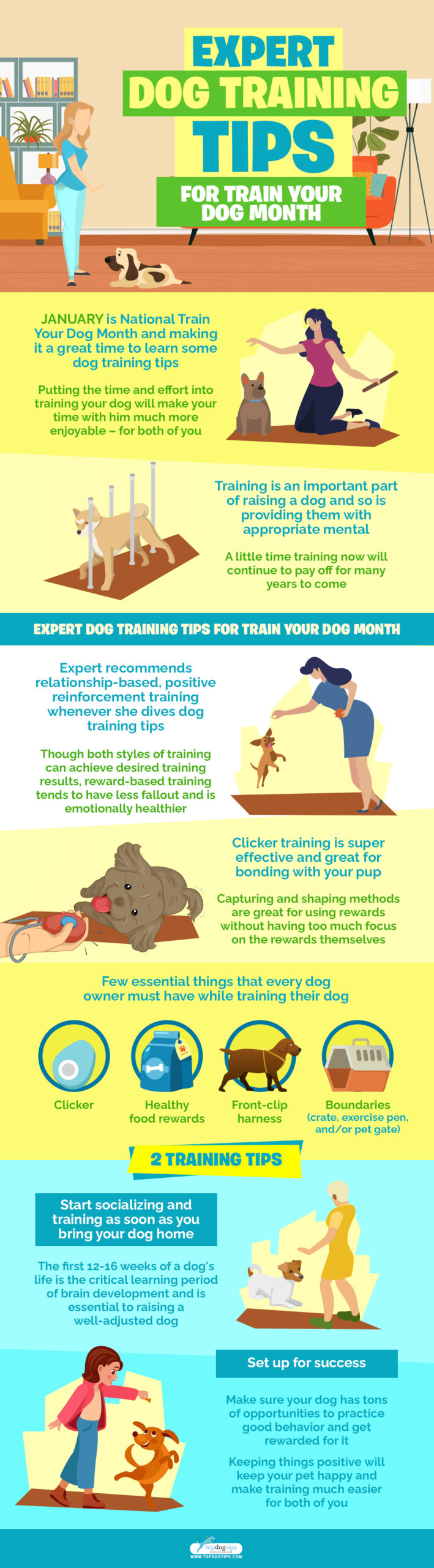 Expert Dog Training Tips for Train Your Dog Month infographics