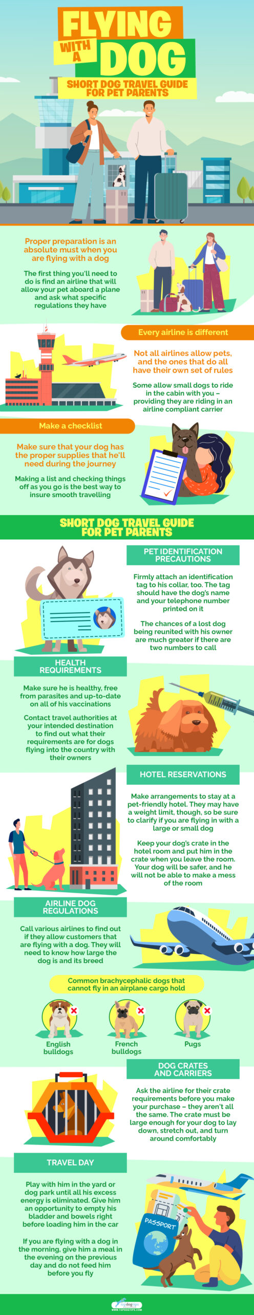 Flying With A Dog infographics