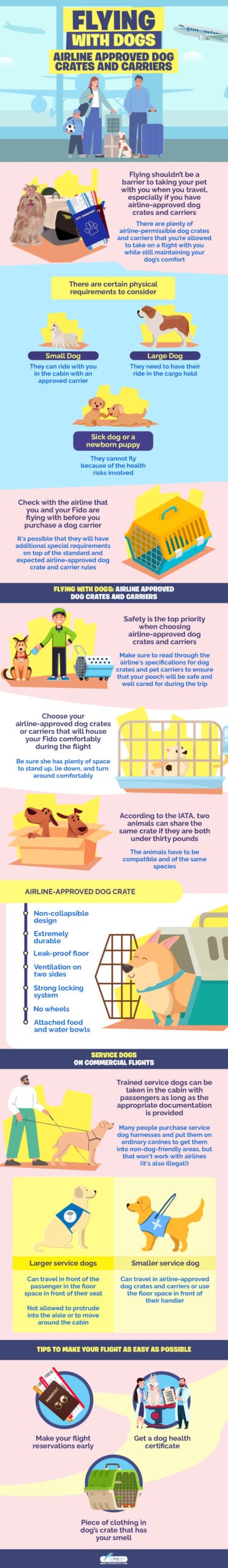 Flying with dog infographics