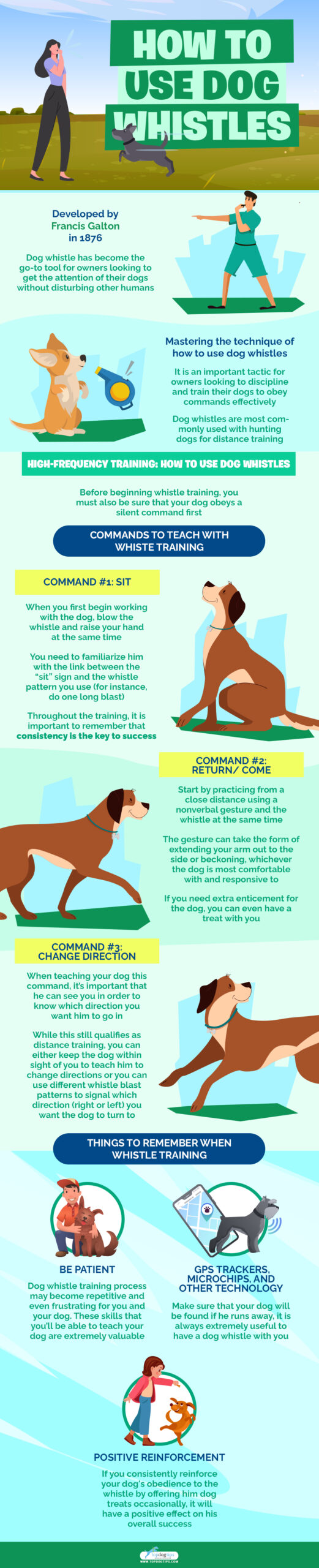 High Frequency Training How to Use Dog Whistles infographics