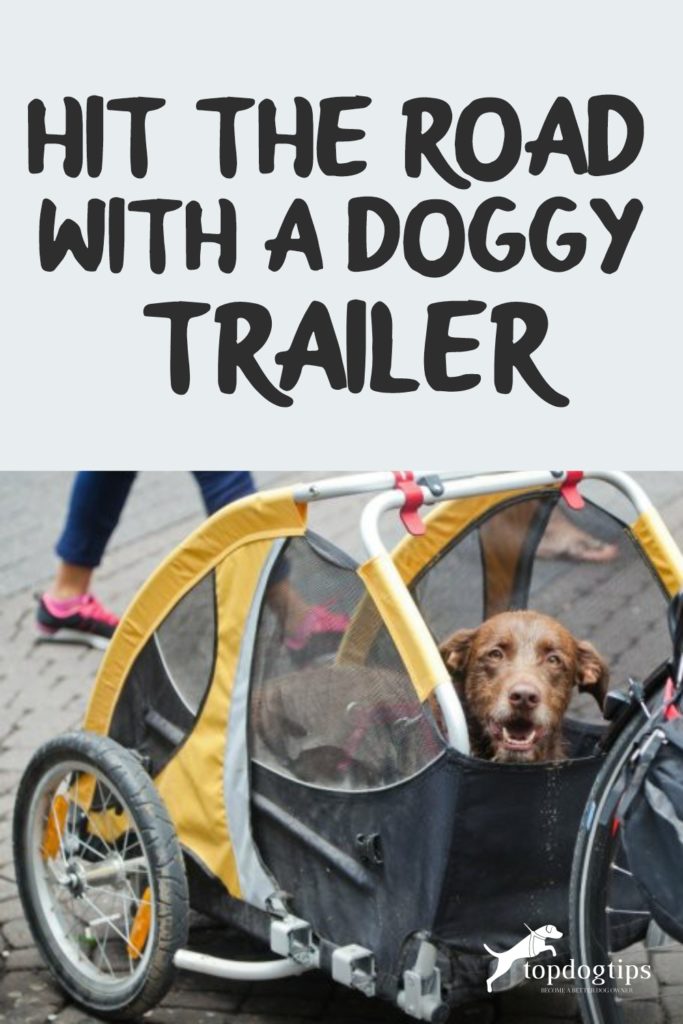 Doggy Trailer