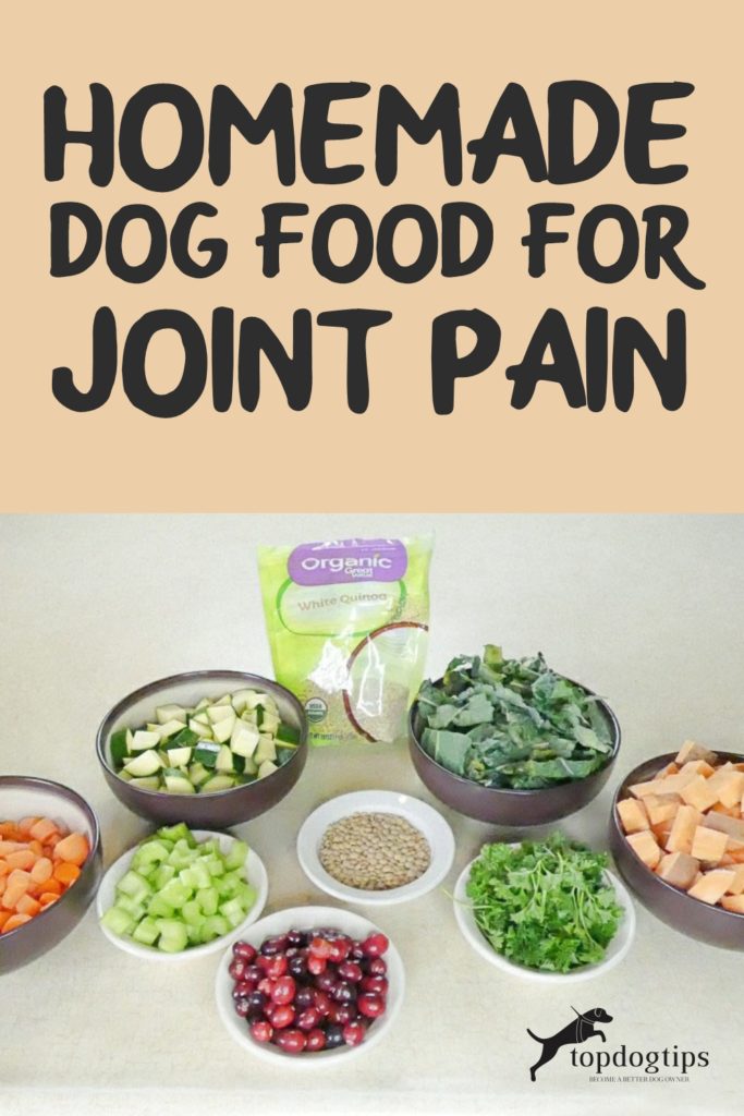 Homemade Dog Food for Joint Pain 