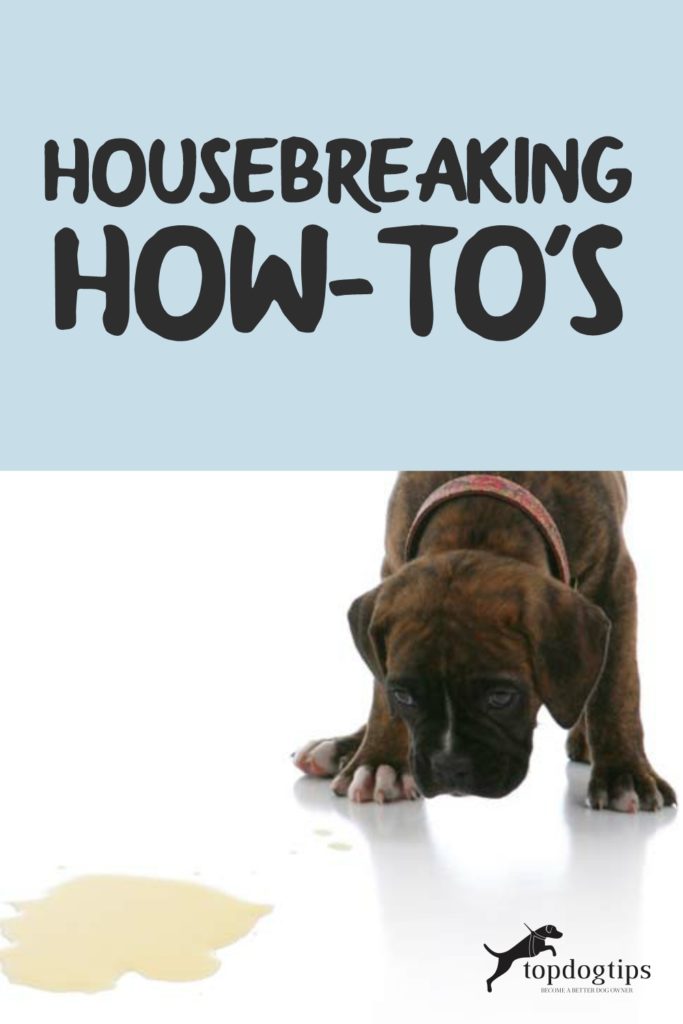 Housebreaking 