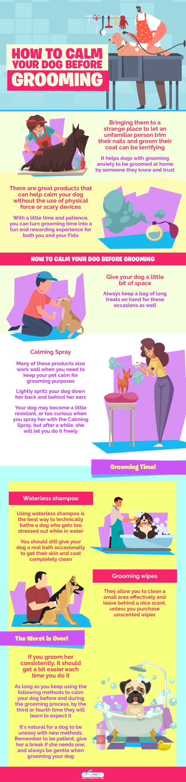 How to Calm Your Dog Before Grooming infographics