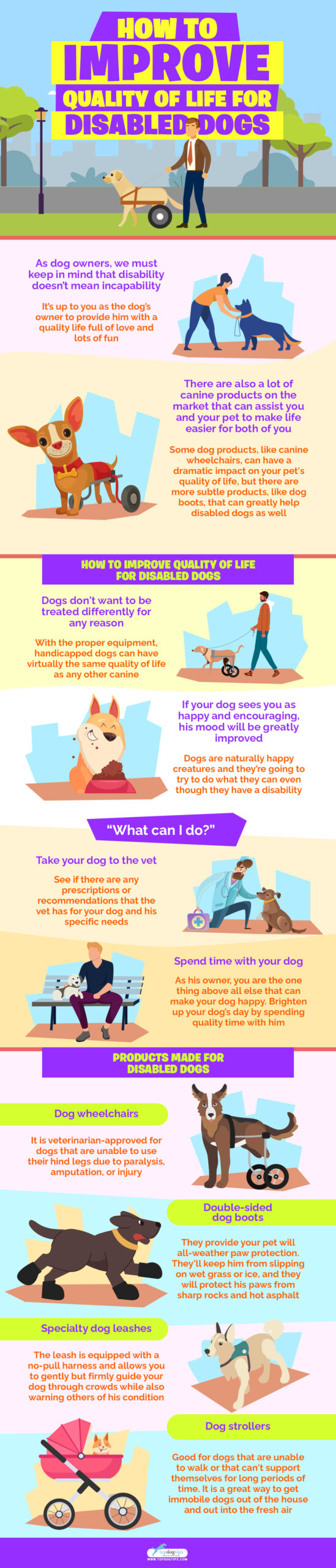 How to Improve Quality of Life for Disabled Dogs infographics