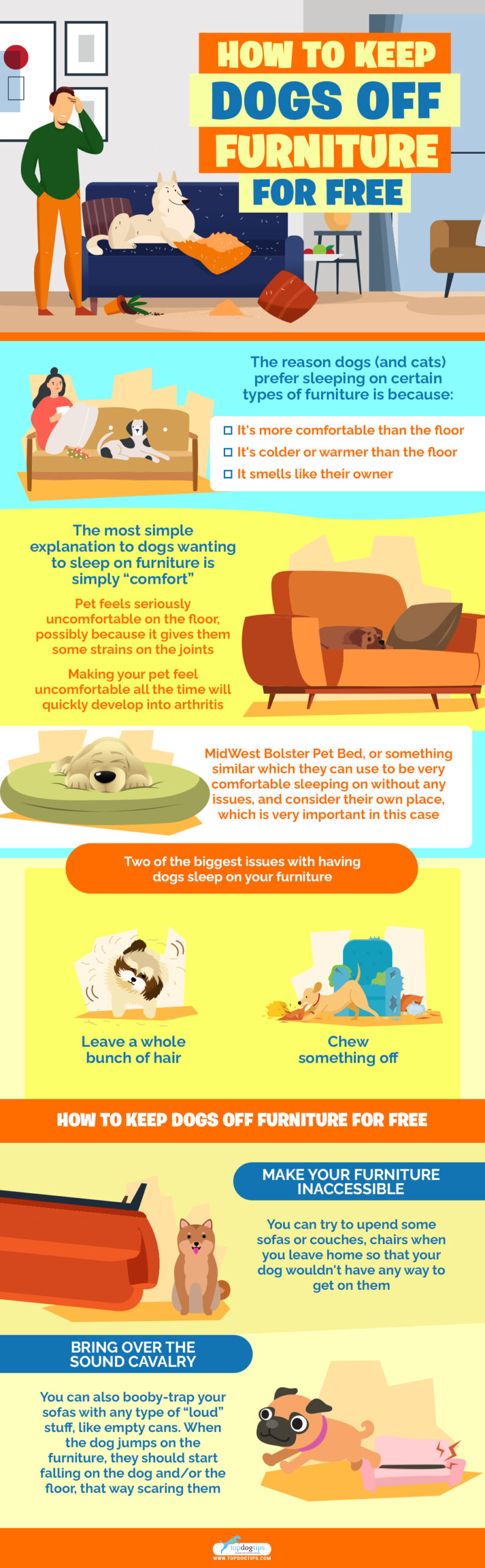 How to Keep Dogs Off Furniture infographics