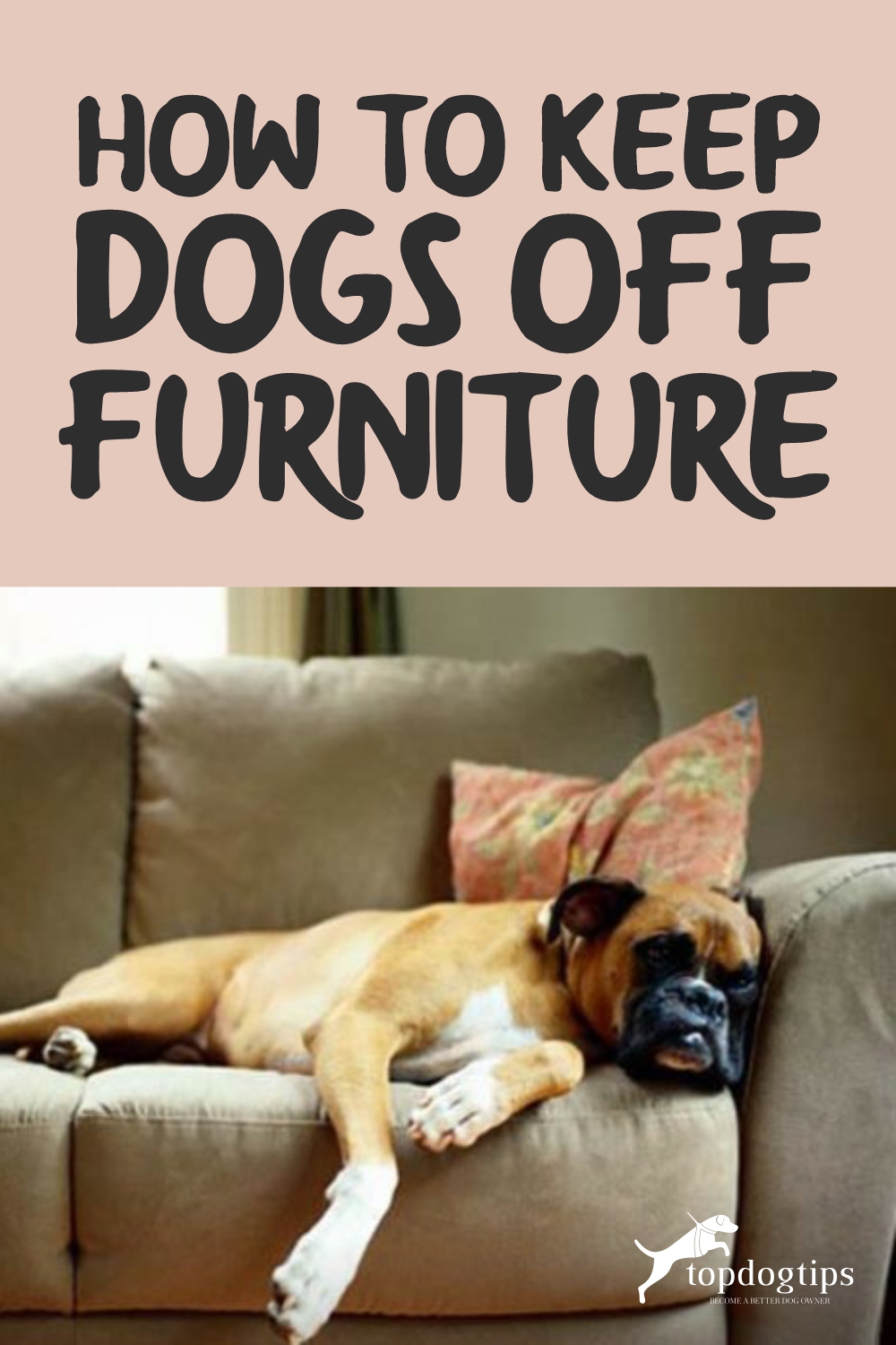 How to Keep Dogs Off Furniture