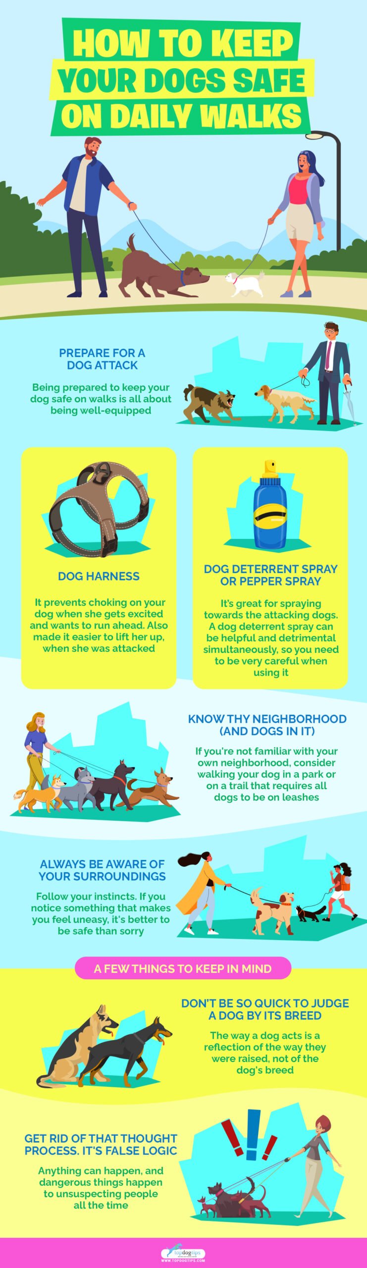 How to Keep Your Dogs Safe on Daily Walks infographics